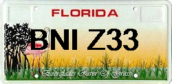 BNI-Z33 Florida